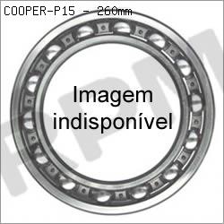 Figura ilustrativa para  107FFT5 G-74 P2S 16205 do nosso catálogo BARDEN. 