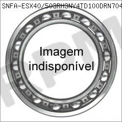Figura ilustrativa para  ESX40/503RH3NY4TD100DRN704A33651069 do nosso catálogo SNFA. 